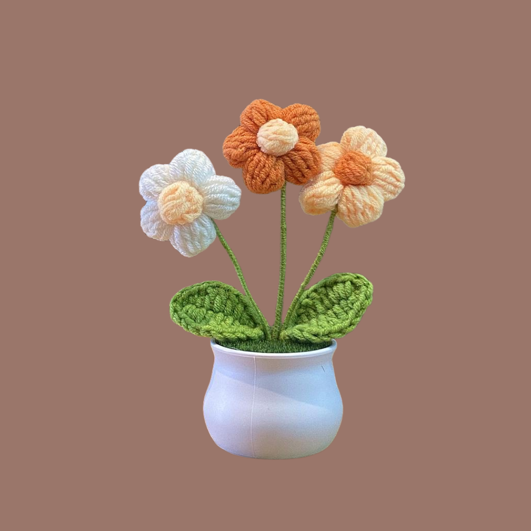 Crochet Flower Pots ( Small Size )