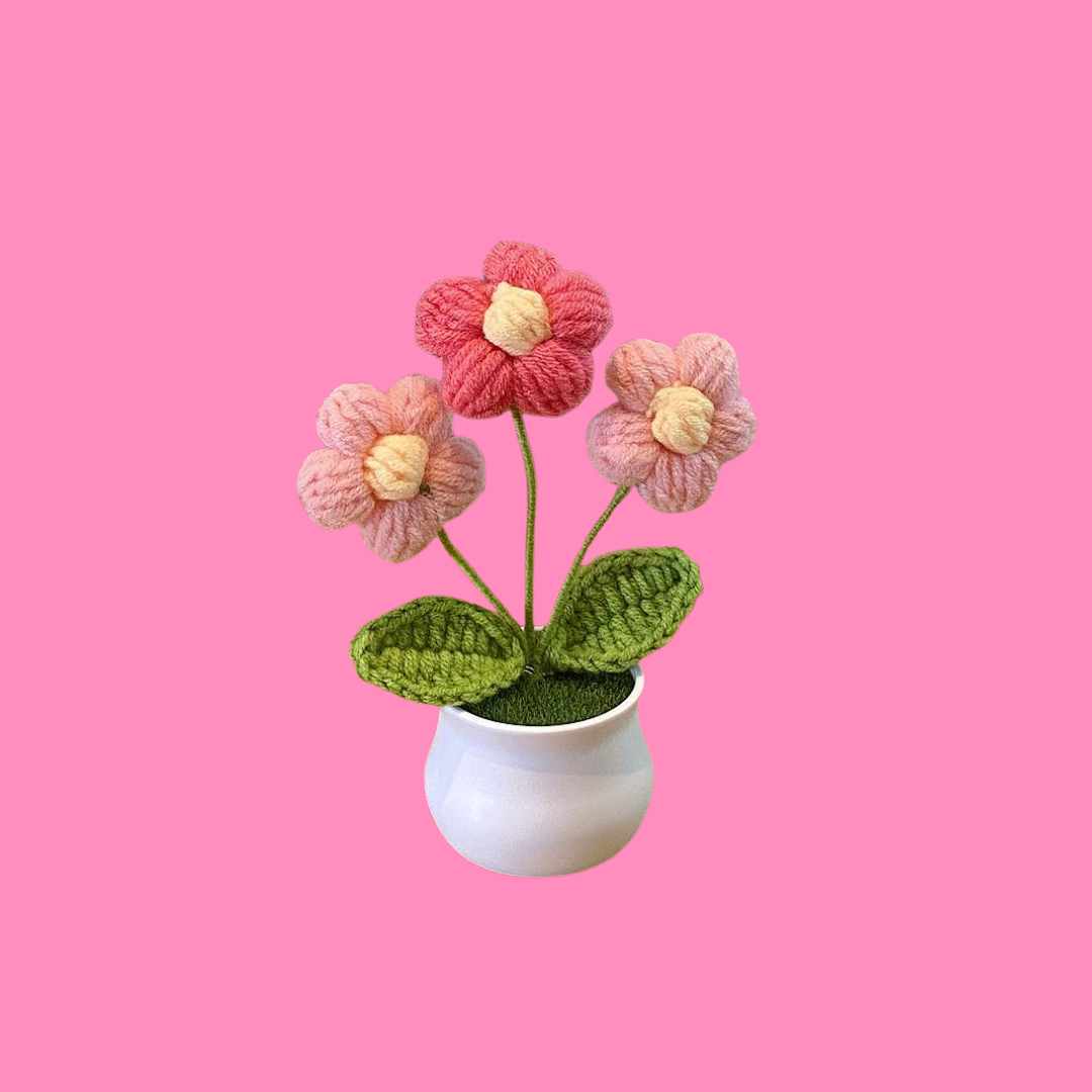 Crochet Flower Pots ( Small Size )