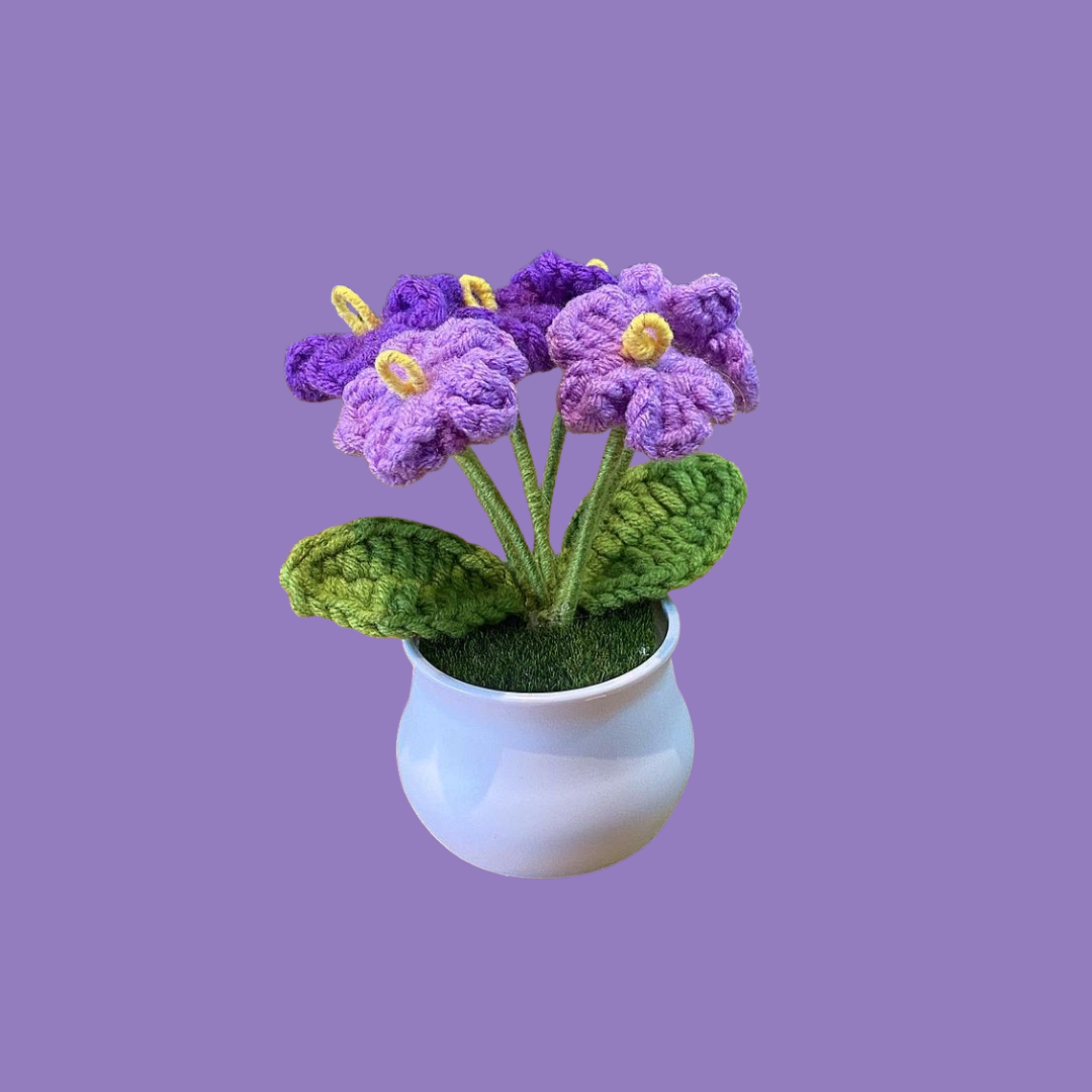 Crochet Flower Pots ( Small Size )