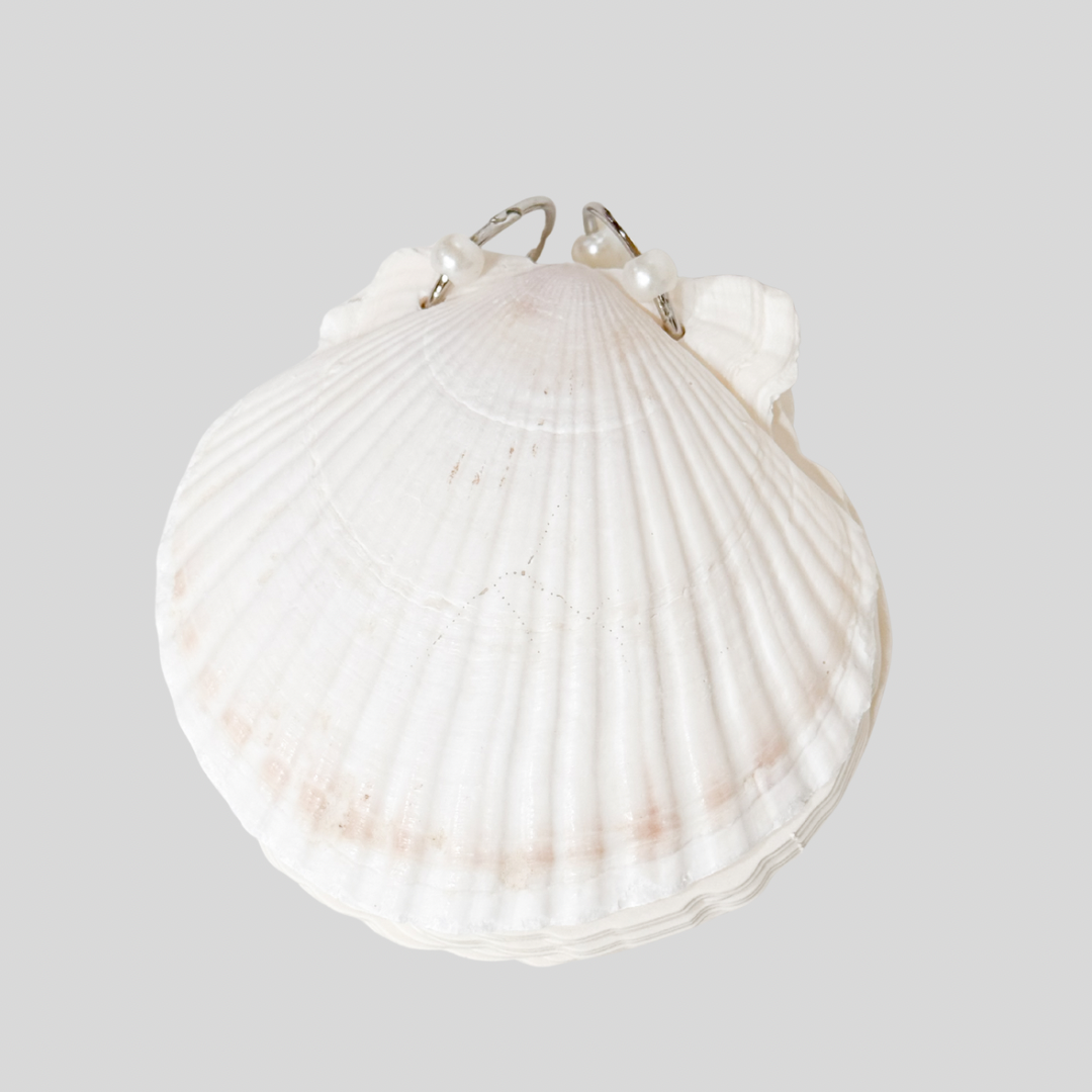 Sea Shell Notepad