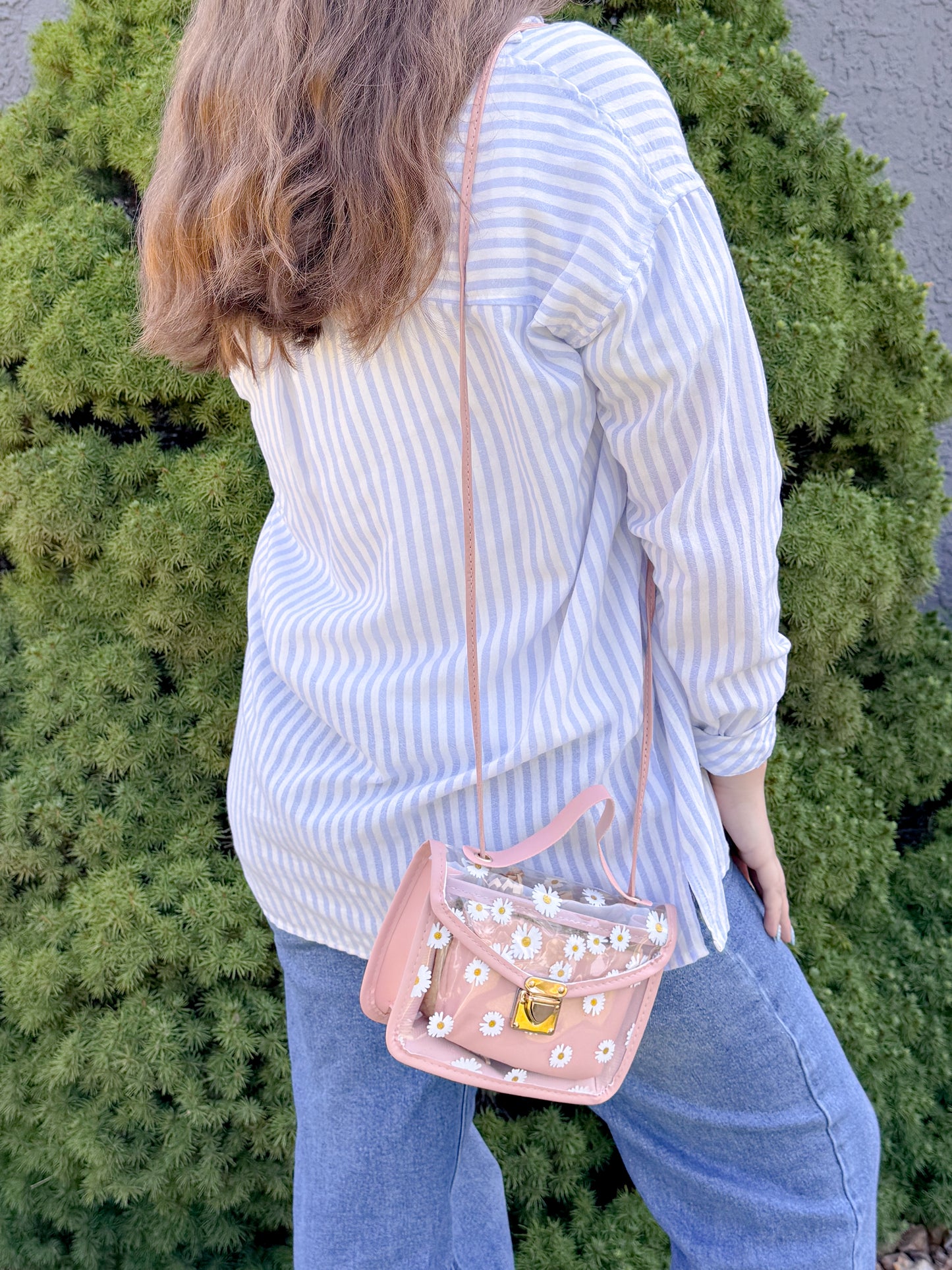 Daisy Dreams Crossbody Bags With Pouch