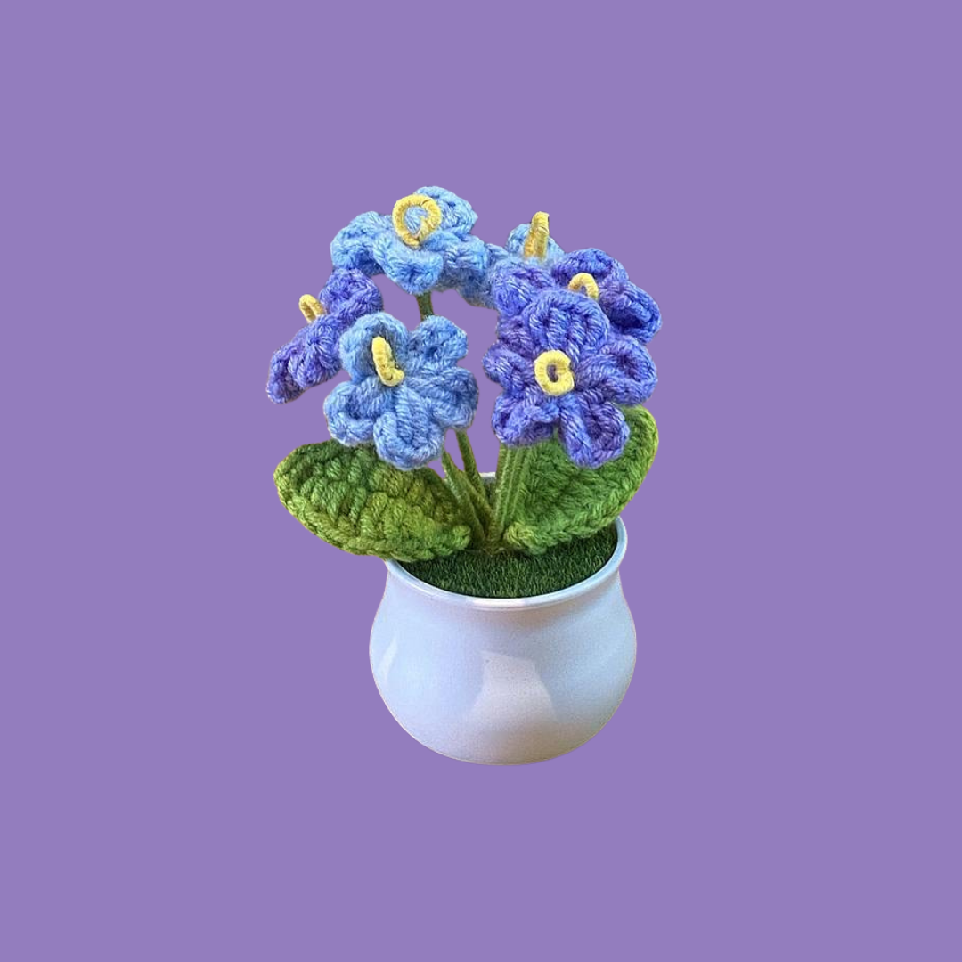 Crochet Flower Pots ( Small Size )