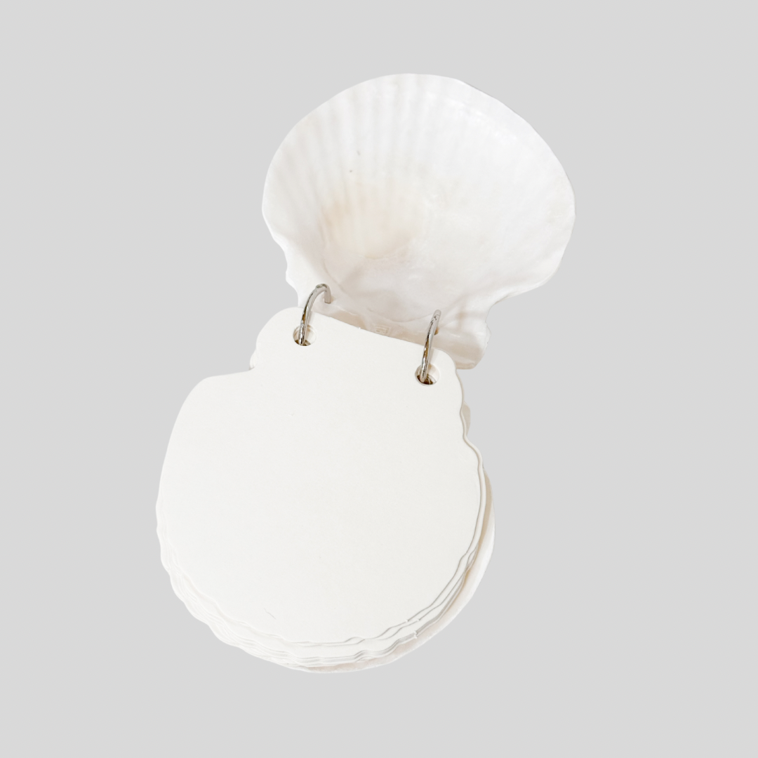 Sea Shell Notepad