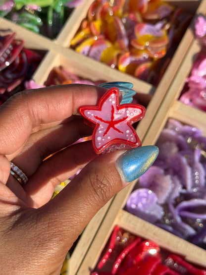 Coastal Mini Hair Clips 2.0