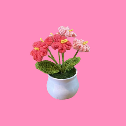 Crochet Flower Pots ( Small Size )