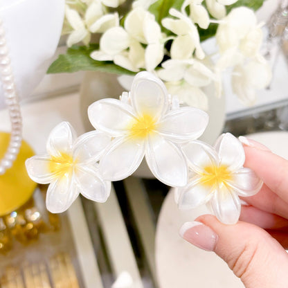 Pearlescent Tropical Claw Clips