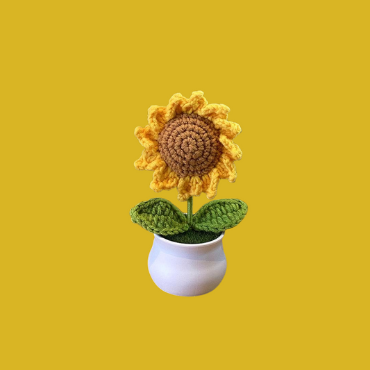 Crochet Flower Pots ( Small Size )