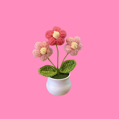 Crochet Flower Pots ( Small Size )