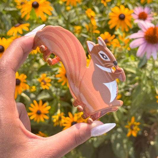 Squirrel Claw Clips