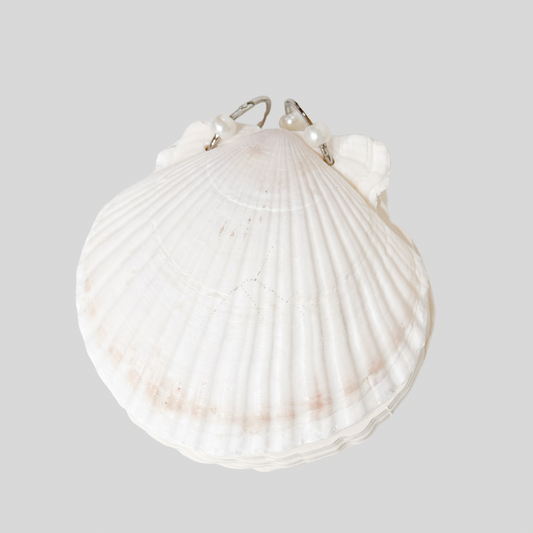 Sea Shell Notepad