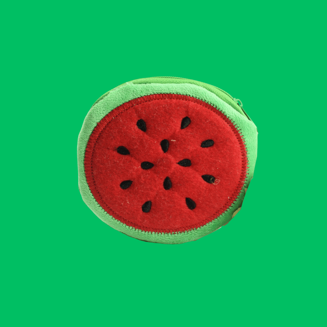 Watermelon Coin Plush Pouch