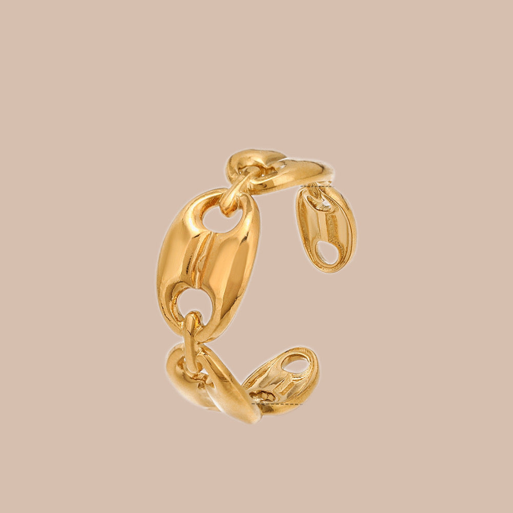 Chain Ring